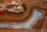 Colorful, Polished Condor Agate - Argentina #323864-1